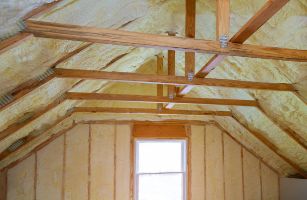 Best Types of Insulation in Sa Loma, CA