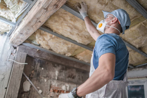 Best Insulation for Specific Applications in Sa Loma, CA